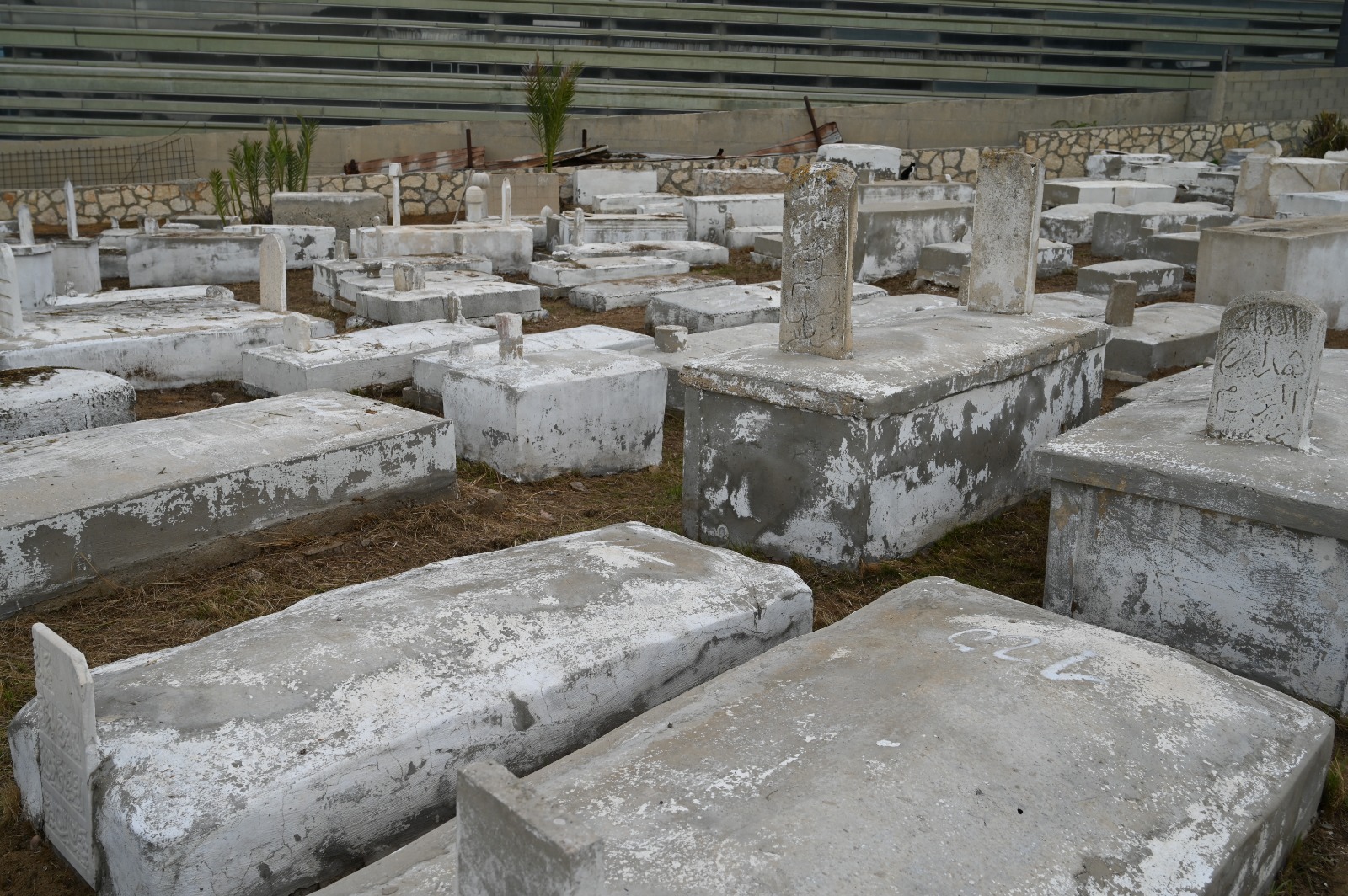 WhatsApp Image 2022-11-30 at 3.24.48 PM (1).jpeg